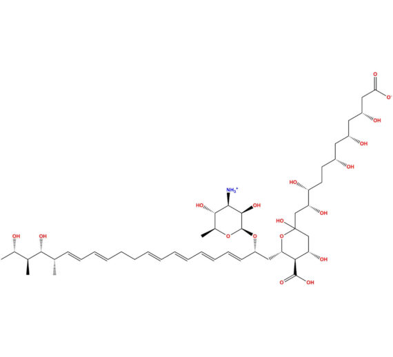 Carboxylate Ion of Nystatin