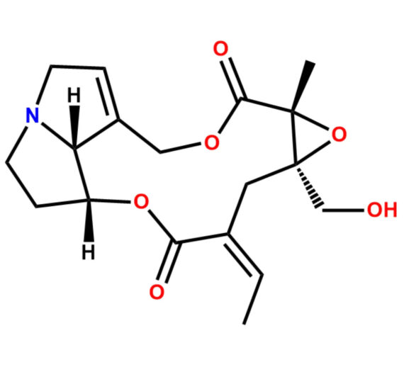 Erucifoline