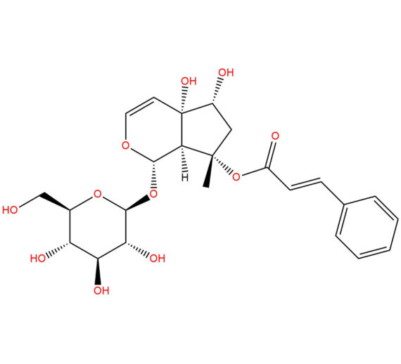 Harpagoside