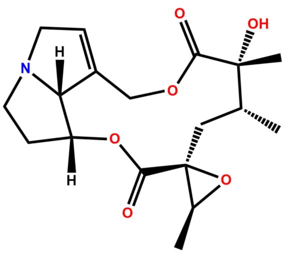 Jacobine