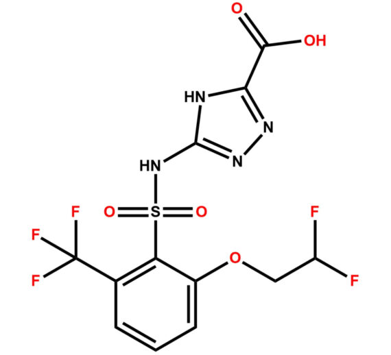 Penoxsulam Impurity 1
