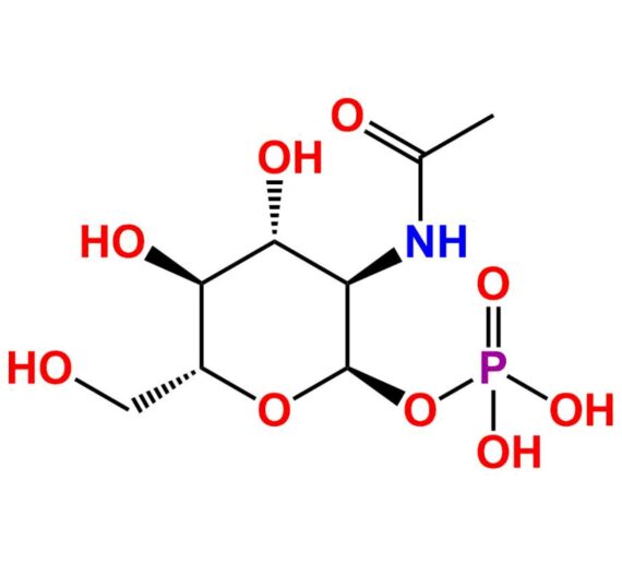 N-Acetyl-Alfa-D-Glucosamine-1-Phosphate