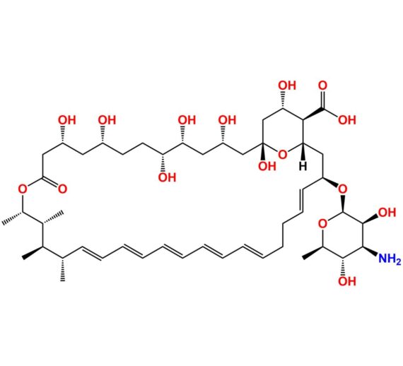 Amphotericin B
