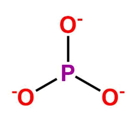 Alendronate EP Impurity C