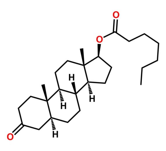 Androstanolone Heptanoate