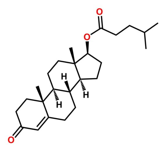 Testosterone Isocaproate