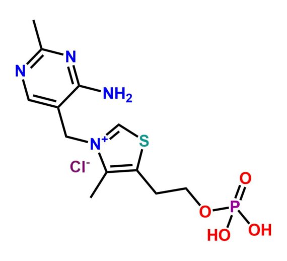 Thiamine Phosphate