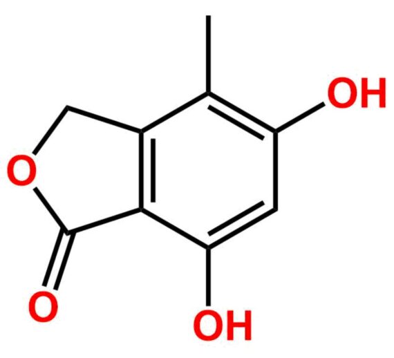 Mycophenolate Mofetil Impurity 1